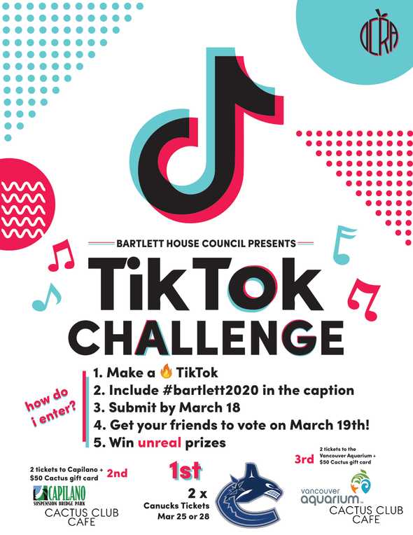 TikTok challenge poster